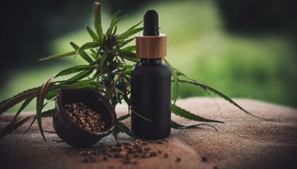 Buteleczka olejku CBD z zakraplaczem, nasionka konopi i kwiatostan marihuany.