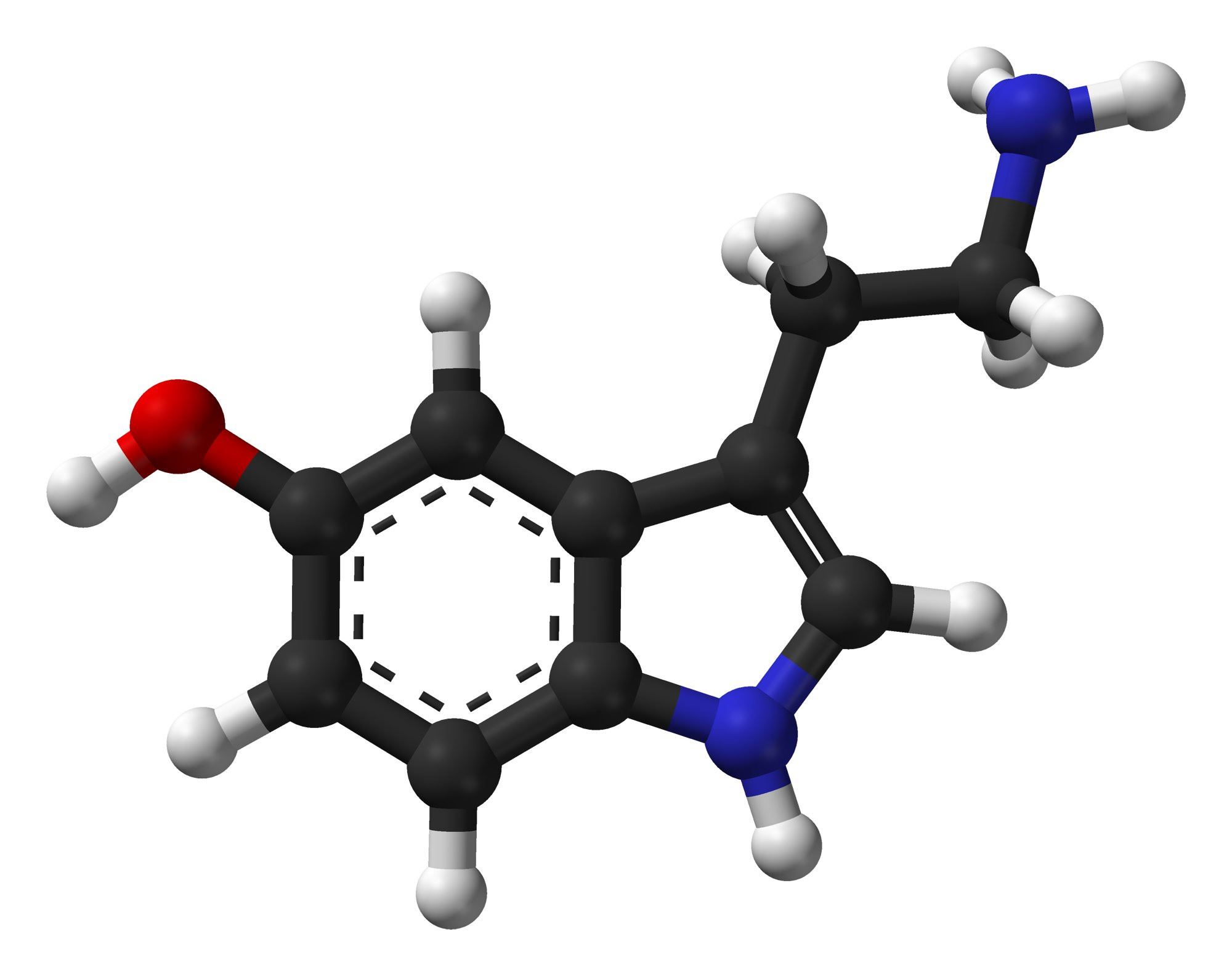 Cząsteczka serotoniny